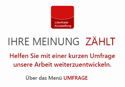 car-umfrage
